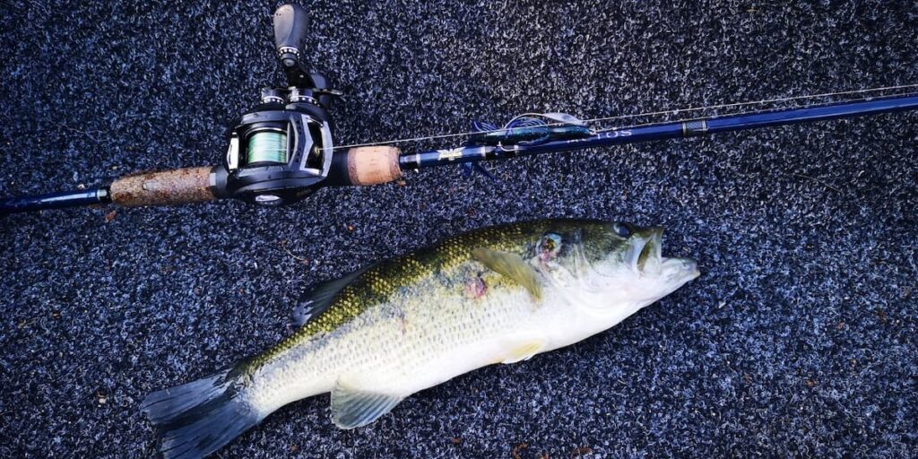 Pêche-carnassiers-bateau-Blackbass-leurres-Cantal-barrage