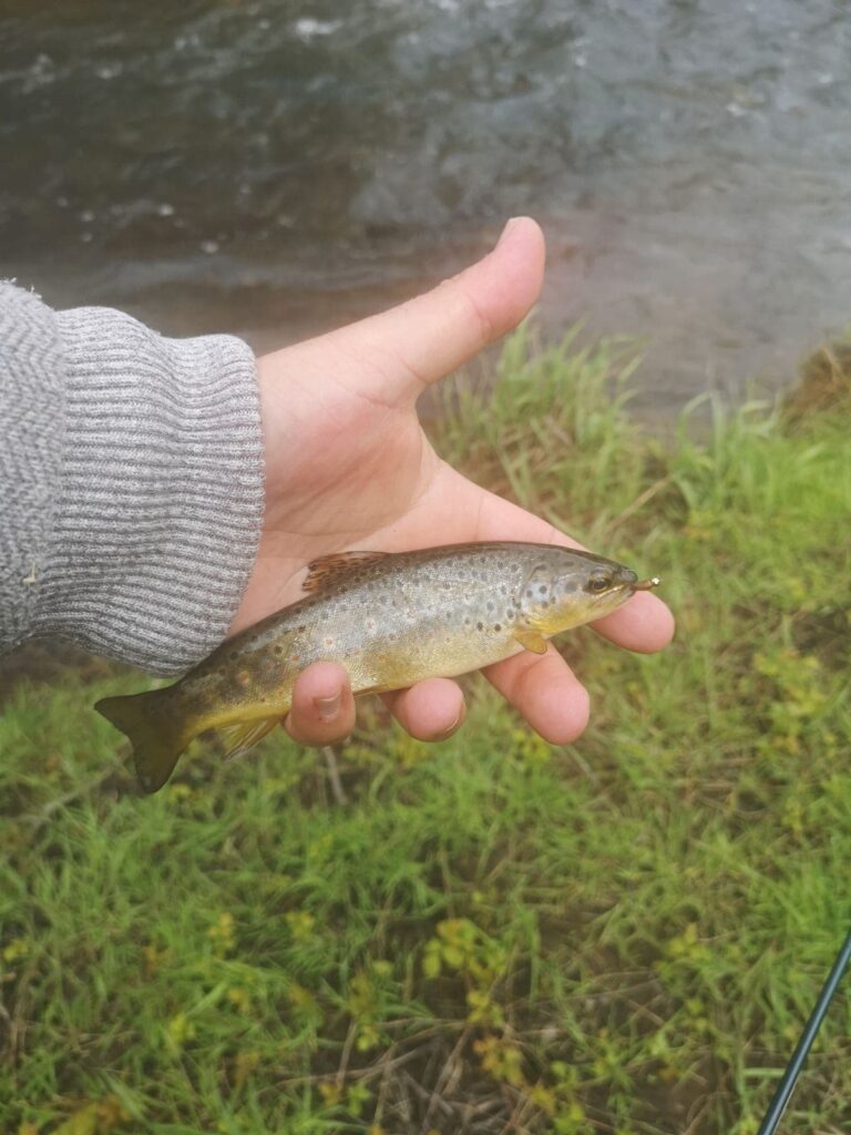 Pêche mouche-Cantal