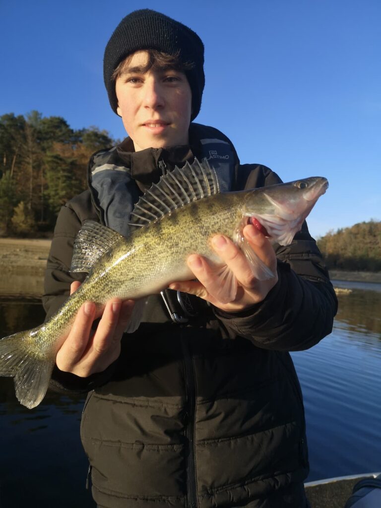 Verticale-Carnassier-Cantal