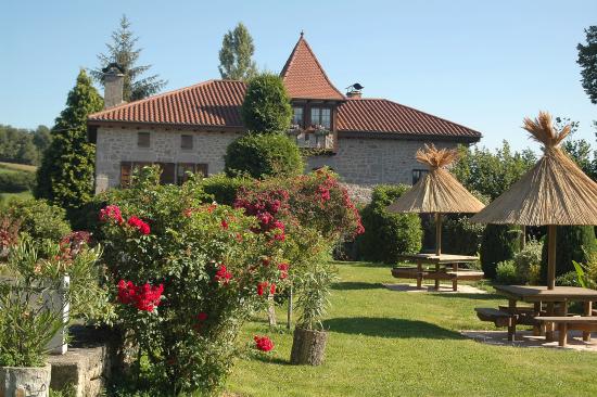 Hébergement- Ferme de Viescamp-Cantal
