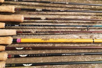 Cannes mouche-Cantal-Auvergne