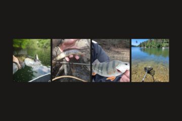 Carte cadeau-100% pêche-Cantal