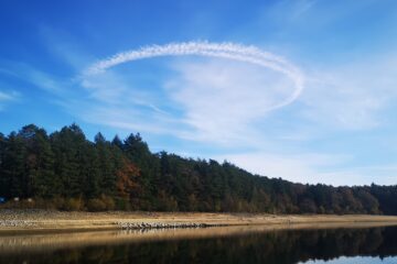 Carnassier-Bord-Cantal