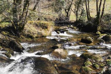 Rance-Chataigneraie-Cantal