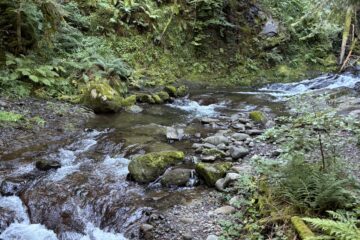 Rivière-Cantal-Auvergne