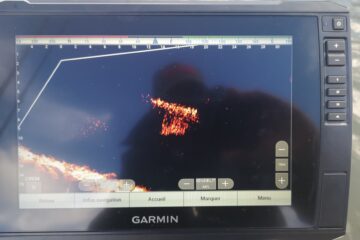 Conditions Générales de Vente